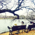 To Visit Vuzillfotsps