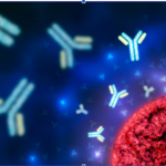 Understanding the Importance of CALB2 Antibody in Neuroscience and Cancer Research
