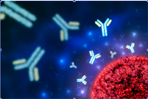 Understanding the Importance of CALB2 Antibody in Neuroscience and Cancer Research