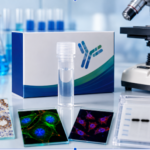 Applications of Mouse IGF-1 Polyclonal Antibody in Biomedical Research